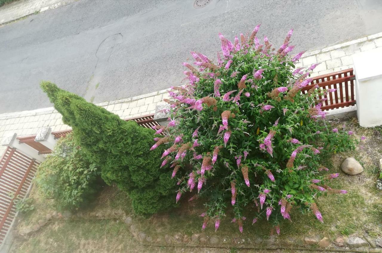Penzion Flora Žatec Kültér fotó