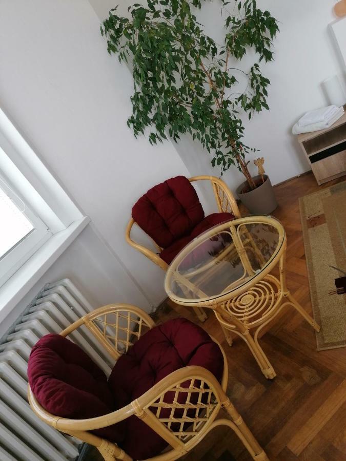 Penzion Flora Žatec Kültér fotó